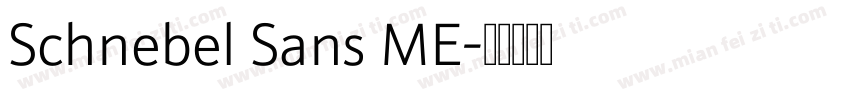 Schnebel Sans ME字体转换